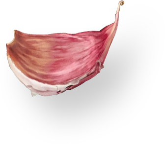 garlic